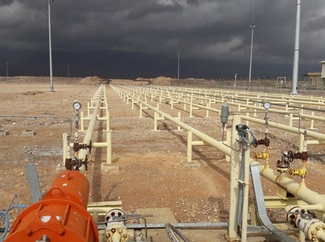 شرکت بين المللي پيمانكاري عمومی ایران