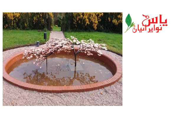 یاس نو ایرانیان