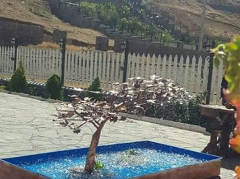 یاس نو ایرانیان