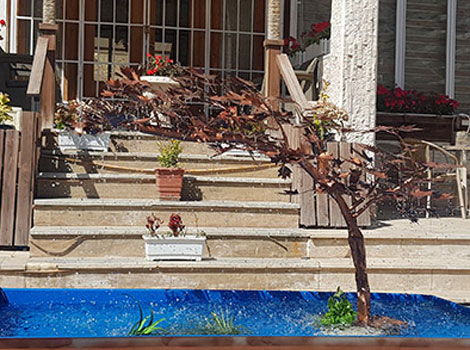 یاس نو ایرانیان