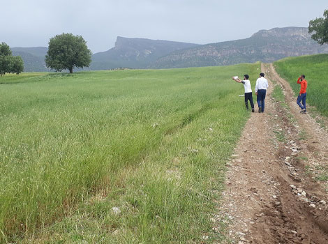 مهندسين مشاور آسو شهر