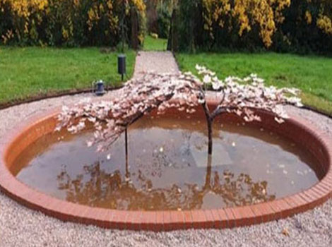 یاس نو ایرانیان