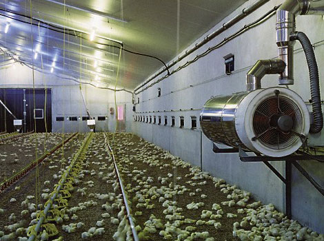 شایانیر صنعت آرتان