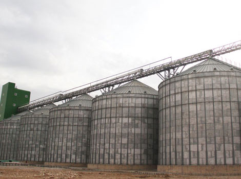 شرکت عمران و مهندسی پاسارگاد جنوب در سال 1994 با هدف مشارکت در پروژههای عمرانی و ملی تاسیس گردید و از همان ابتدا نهایت تلاش خود را در این زمینه نموده است. در این راستا افتخار همکاری با تیمی از کارشناسان مجرب و کادر فنی مجرب را داریم. اعضای هیئت مدیره ما تجربه مدیریت گسترده ای در پروژه های مختلف ملی دارند. تمرکز اصلی هیئت مدیره و همکاران ما کیفیت کار ارائه شده و رضایت مشتری بوده است. پاسارگاد جنوب این افتخار را دارد که با منطقه ویژه اقتصادی انرژی پارس جنوبی، شرکت ملی نفتکش جنوب ایران، سازمان غلات ایران، پتروشیمی مروارید، سازمان بنادر و دریانوردی خاتم همکاری داشته باشد. خدمات و زمینههای فعالیت شرکت طبق اساسنامه؛ طراحی و اجرای تاسیسات، توسعه شهری و پروژههای زیربنایی، از جمله پلها، راهآهن و سدسازی، خطوط لوله بیمارستانها و سازههای سنگین، ارائه خدمات مدیریت مهندسی، از جمله مدیریت، طراحی، ساخت و نظارت، سرمایه گذاری و مشارکت در زمینه تهیه و تامین مصالح ساختمانی، ماشین آلات و ابزارآلات، صادرات و واردات کالاهای مرتبط با موضوع شرکت، جذب سرمایه و مشارکت داخلی و خارجی و اخذ نمایندگی از شرکتهای معتبر بین المللی طبق قوانین و مقررات جمهوری اسلامی ایران و ایجاد شعبه و اعطای نمایندگی در داخل و خارج از ایران است. از جمله پروژههای اجرا شده توسط این شرکت میتوان به؛ خطوط لوله انتقال نفت و گاز از میدان نفتی آذر، طرح بهینه سازی میدان نفتی هفتکل، اجرای پروژه های وزارت نفت، کمپ کلاینت میدان نفتی رامشیر به عنوان EPC و جاسک ایستگاه پمپ شماره 2 اشاره نمود.