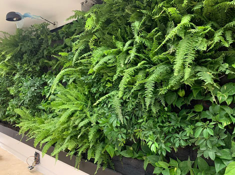 شرکت دانش بنیان هوماک