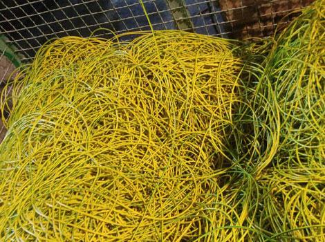 گروه کارخانجات پرتوالکتریک