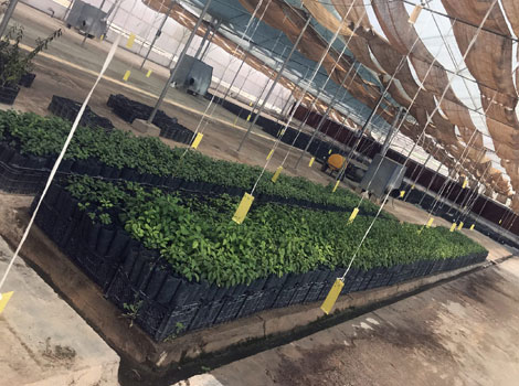 شرکت دانش بنیان هوماک